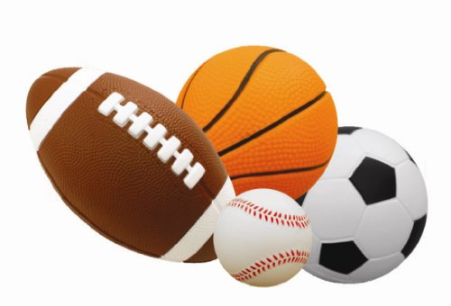 Gamenamics Sponge Bugs SP143 4-Pack Fun Sports Balls