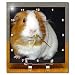 Guinea Pig - 6x6 Desk Clock