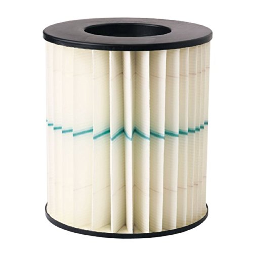 Craftsman 917804 Green Stripe Wet/Dry Vacuum Filter New