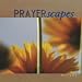 Prayerscapes: Nature