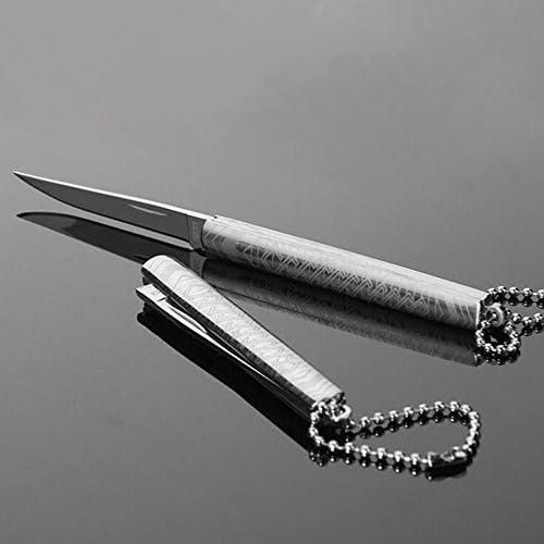 GAOSHUILIN® Tactical Folding Knife Gold Titanium Coating Stainless Steel Blade Knife Fruit And Craft Knife (Silvery)