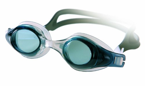 Fashy Schwimmbrille Dolphin, rauch, 4158 20 2007_20 Preisvergleich