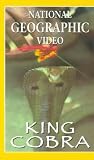 Review Quadrant Video  / National Geographic Video - King Cobra