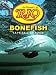 Sporting Goods : Rio Knotless 10 Foot Bonefish 6.6 Lb Tapered Leader