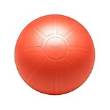 GoFit Ultimate Burst Resistant Core Stability Ball with Workout DVD