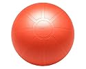 GoFit Ultimate Burst Resistant Core Stability Ball with Workout DVD (55 cm)