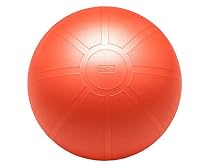 GoFit Ultimate Burst Resistant Core Stability Ball with Workout DVD (55 cm)
