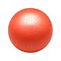 GoFit Ultimate Burst Resistant Core Stability Ball with Workout DVD (55 cm)