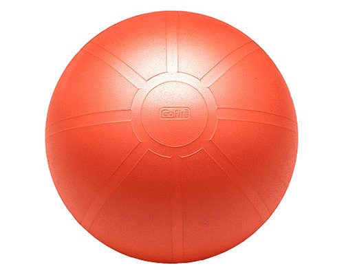 GoFit Ultimate Burst Resistant Core Stability Ball with Workout DVD (55 cm)
