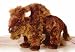 Aurora Plush Custer the Bison Buffalo