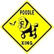 POODLE CROSSING sign * street dog show