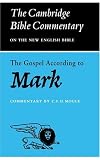 The Gospel according to Mark (Cambridge Bible Commentaries on the New Testament)