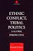 Book Ethnic Conflict, Tribal Politics: A Global Perspective