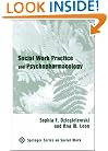 Social Work Practice and Psychopharmacology (Springer Series on Social Work)