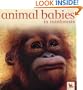 Animal Babies in Rainforests