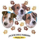 Jack Russell-Puppy Love Adult T-Shirt