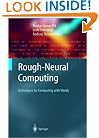 Rough-Neuro-Computing
