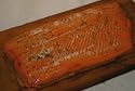 Chinook Salmon Plankfish