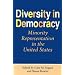 Diversity in Democracy: Minority Representation in the United States (Race, Ethnictiy, and Politics)