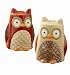 Tag Turning Leaves Collection Owl Salt and Pepper