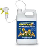 St Gabriel #400279 64OZ RTU Burnout II