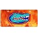 Florida Gators Flames Mirrored Logo License Plate