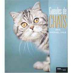Gueules de chats