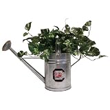 South Carolina Gamecocks Watering Can - NCAA College Athletics - Fan Shop Sports Team Merchandise