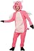 Flying Pig Adult Costume