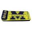 Michigan Wolverines Pool Float/Mattress