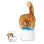 Catit Trinkbrunnen Drinking Fountain f�r Katzen un&hellip von HAGEN