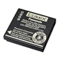 Panasonic DMW-BCF10PP Battery for Select Lumix Cameras (Retail Packaging)