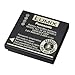 Panasonic DMW-BCF10PP Battery for Select Lumix Cameras (Retail Packaging)