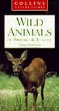 Wild animals of Britain and Europe