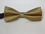 Clip on bow tie, men's bow tie (Gold with black stripe) Alpha Phi Alpha tie