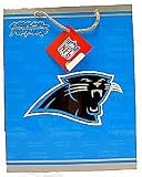 Carolina Panthers Team Logo Gift Bag (Medium)