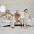 Someone Like Me/Right Now 2004, Pt. 2 [CD 2]