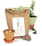 Ginkgo Tree-to-Be with Personalized Tag