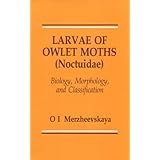larvae of owlet moths noctuidae biology morphology and classification