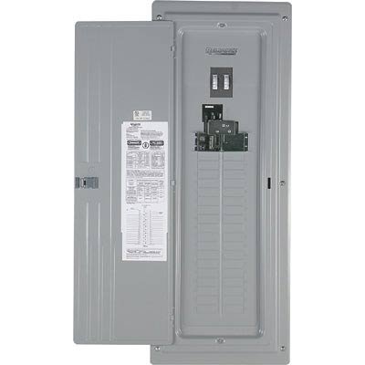 Reliance Generator-Ready 200 Amp Panel - Dual Analog Wattmeters, For Generators up to 60 Amps/15,000 Watts