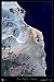 San Felipe, Baja California, Mexico Satellite Print, 24x36