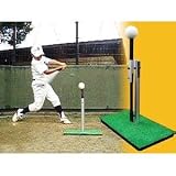 バッティングパンチ（バッティング上達の秘密兵器）p0001 秘密