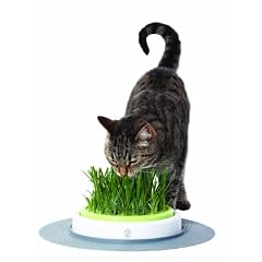Catit 50755 Design Senses - Gras Garten