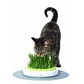 Catit 50755 Design Senses - Gras Garten