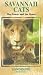 Londolozi - Savannah Cats - The Power And The Grace [UK IMPORT]