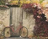 Red Bicycle Near Door, Art Poster by Francisco Fernandez