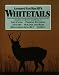Leonard Lee Rue Iii's Whitetails: Answers to All Your Questions on Life Cycle, Feeding Patterns, Antlers, Scrapes and Rubs, Behavior During the Rut,