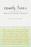 County lines : a portrait of life in South Dublin County