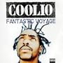 Fantastic Voyage