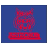 Biederlack Arizona Wildcats 60x50 Fleece Throw